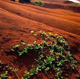 《超自然车旅》新DLC林中低语发布 神秘森林冒险